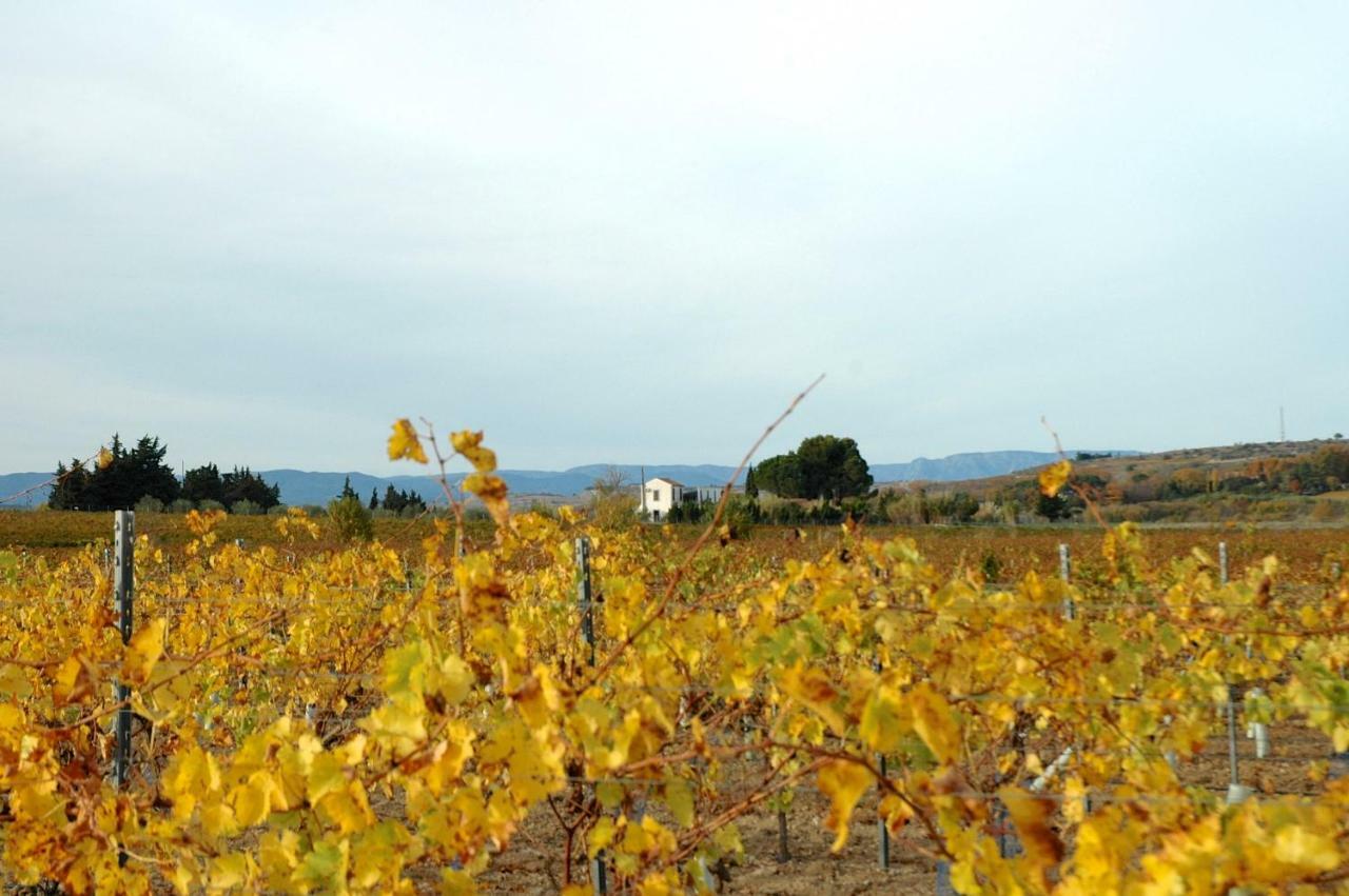 Le Petit Viala Villa Capestang Bagian luar foto